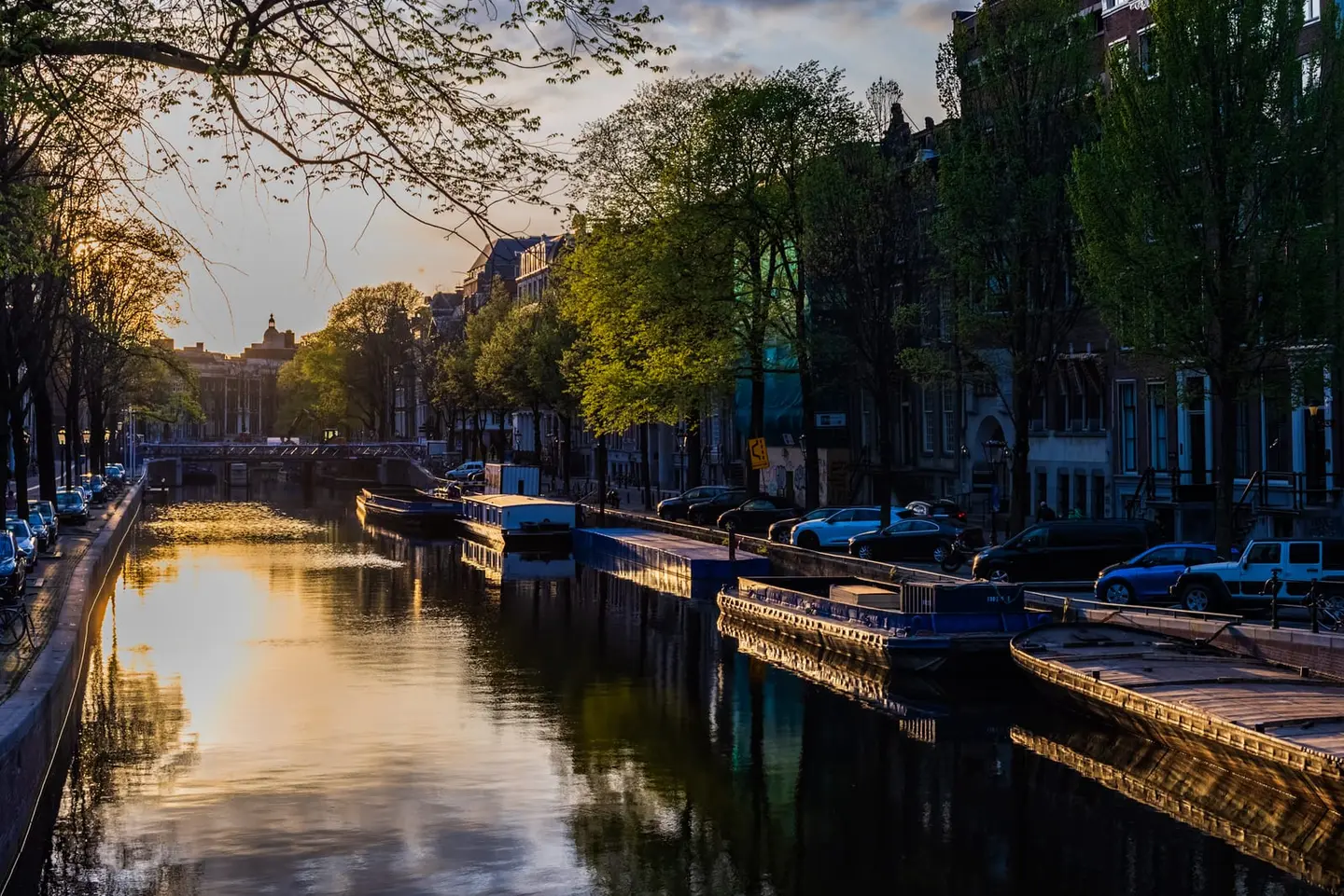 Bare branches frame a view along an Amsterdam canal in April as the low evening sun spills golden backlight across the water and the moored houseboats.
