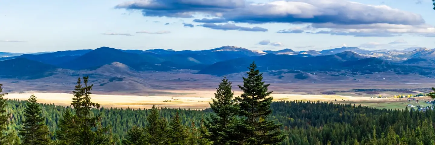 An end-of-day view from the wooded edge of Durmitor National Park out across a wide pastoral basin to a long blue ridge of distant peaks.