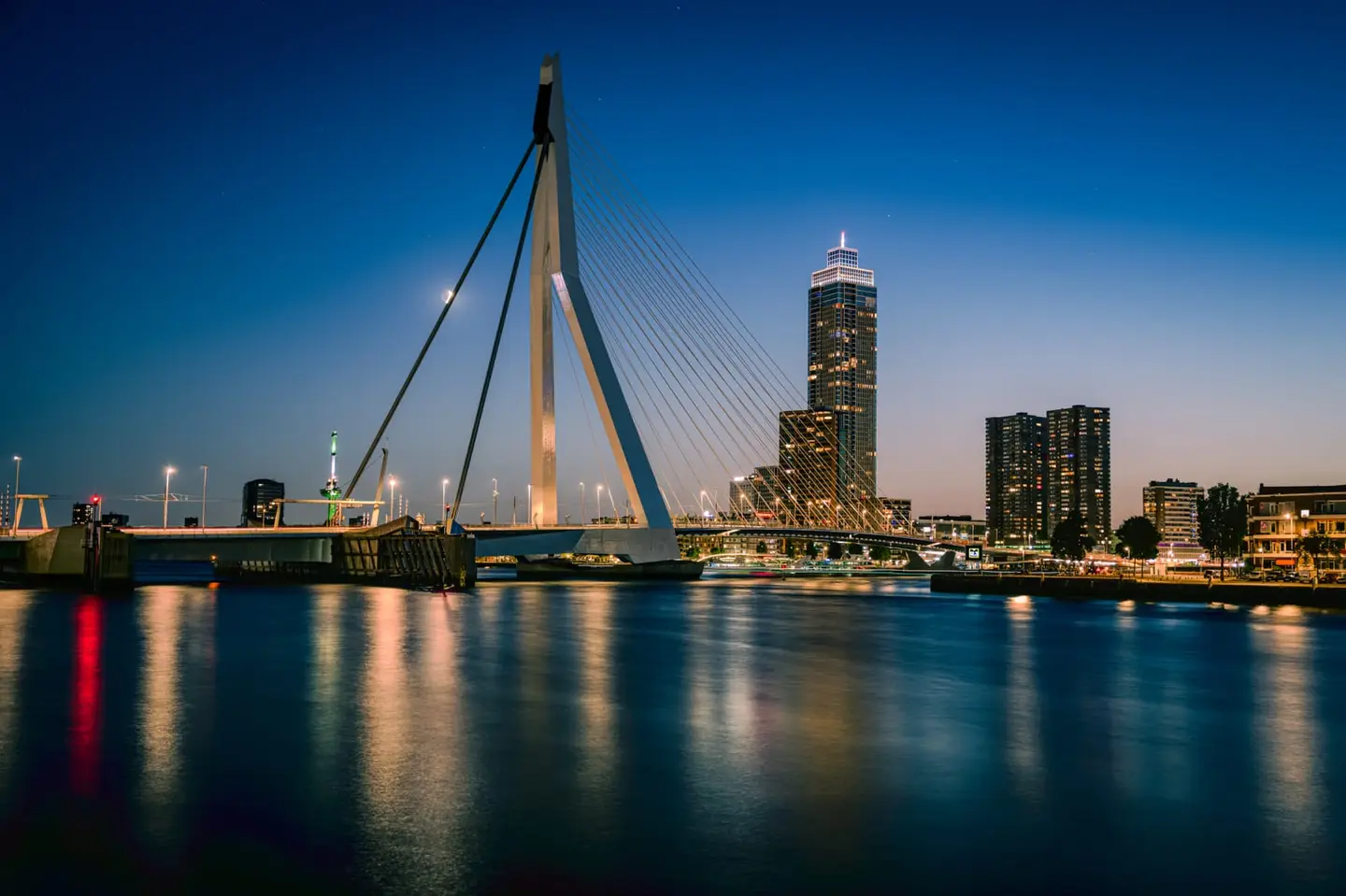 Erasmusbrug and Zalmhaven Tower at Rotterdam Blue Hour
