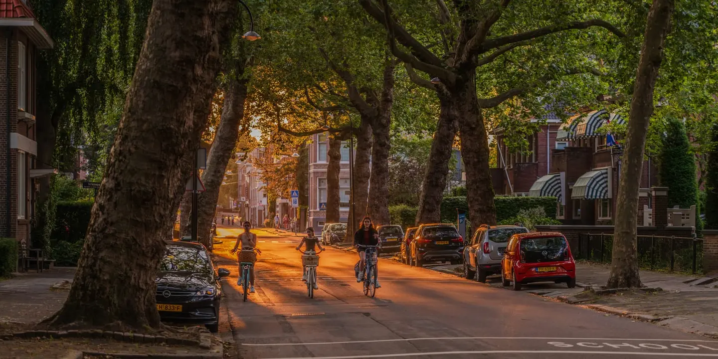 Three cyclists roll toward the camera on the Vrieseweg in Dordrecht, their figures lit copper by a low June sun cutting through the canopy of mature plane trees.