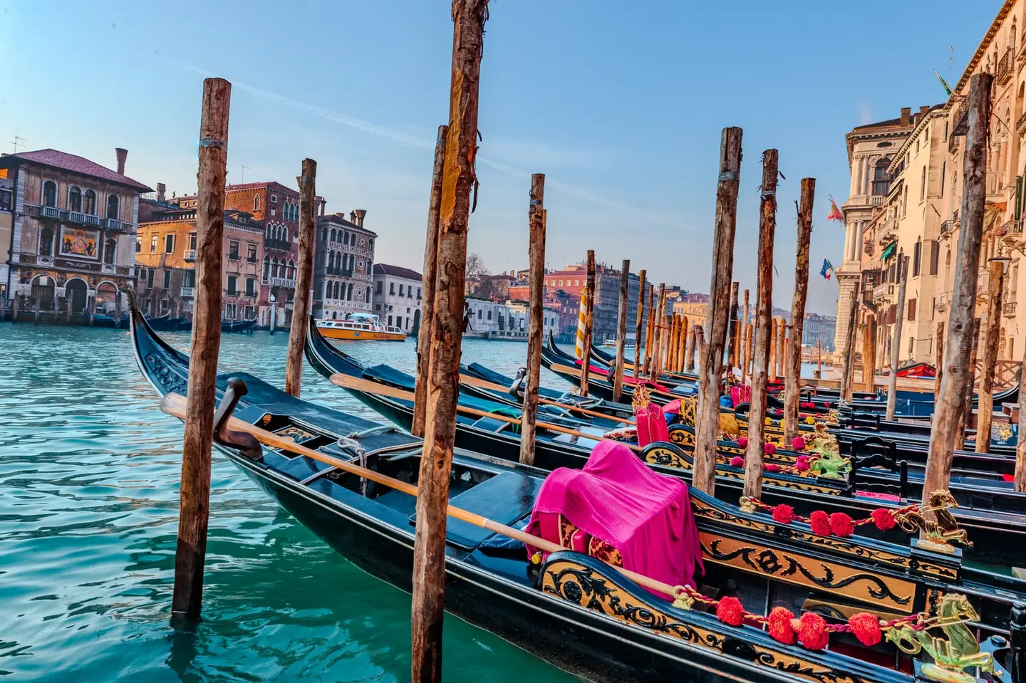 A row of black gondolas with crimson covers rests against weathered mooring posts on the Grand Canal, with pastel Venetian palaces lining the far shore beneath a clear winter sky.